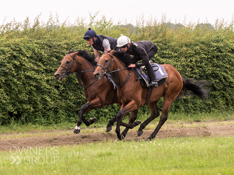 Richard Hannon Visit - 2 July 2021